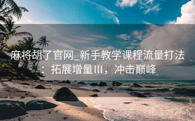 麻将胡了官网_新手教学课程流量打法：拓展增量Ⅲ，冲击巅峰