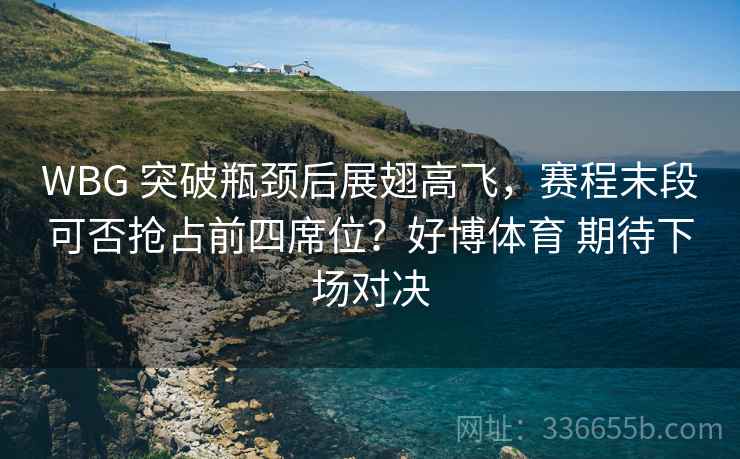 WBG 突破瓶颈后展翅高飞，赛程末段可否抢占前四席位？好博体育 期待下场对决